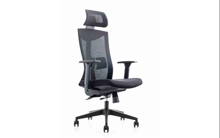 Swivel Task Chair